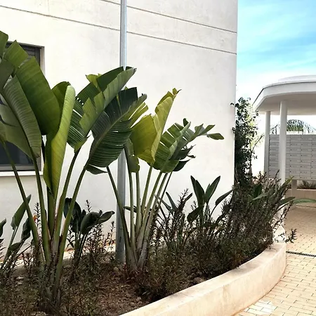Marina Real Vyb Dénia